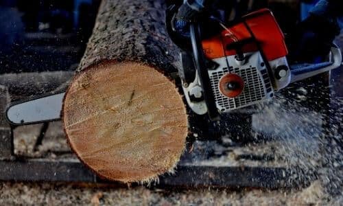 wood slices Cut with chainsaw